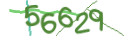 Mit Klick neuen Code generieren