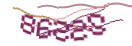 Mit Klick neuen Code generieren