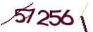 Mit Klick neuen Code generieren