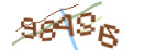 Mit Klick neuen Code generieren
