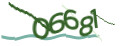 Mit Klick neuen Code generieren