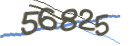 Mit Klick neuen Code generieren