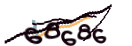 Mit Klick neuen Code generieren