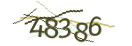 Mit Klick neuen Code generieren