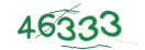 Mit Klick neuen Code generieren